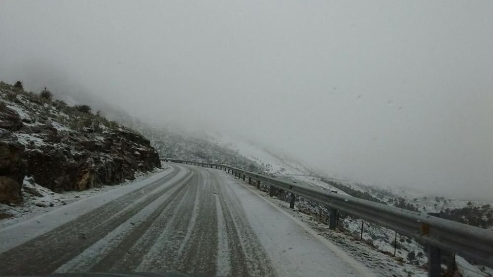 Carretera de El Burgo a Ronda.