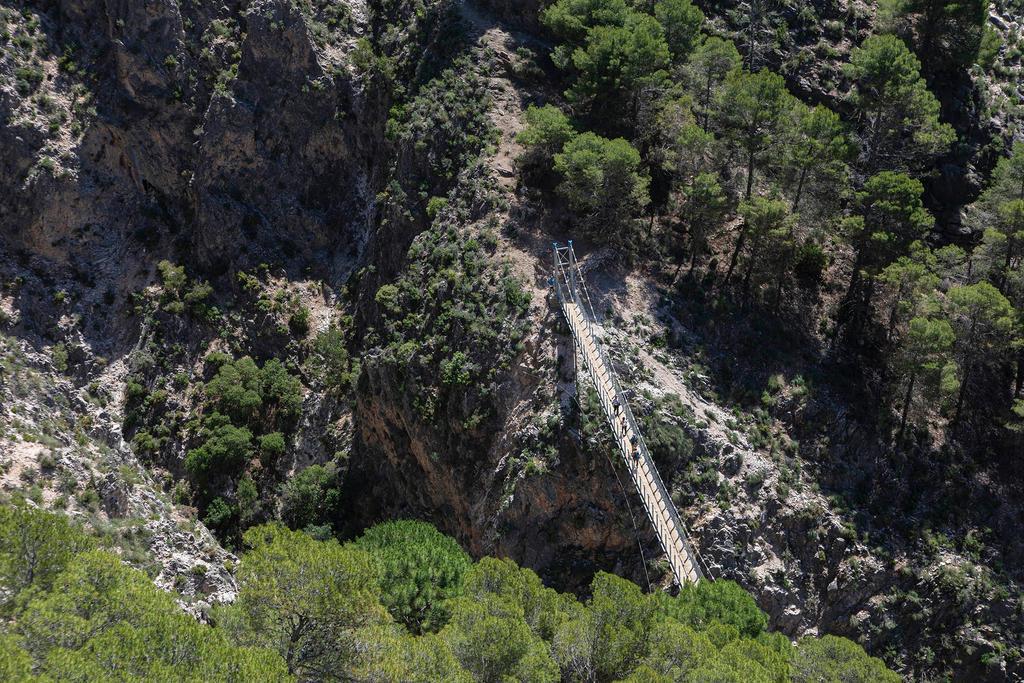 Puente colgante en el paraje natural El Saltillo.