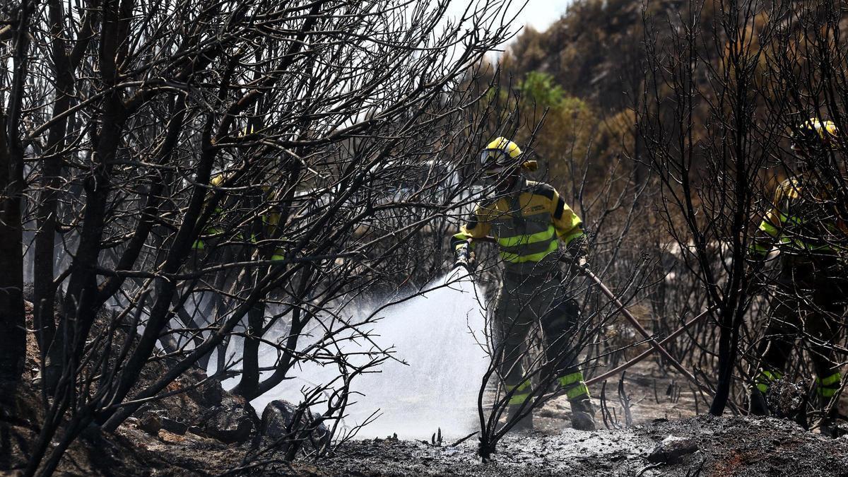 En imágenes | Así trabaja el operativo de extinción en el quinto día de incendio en las Cinco Villas