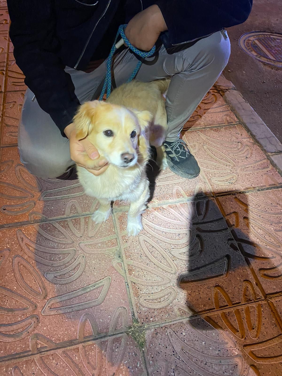 Rescate de un perro y su dueño en Orilla baja, Santa Lucía