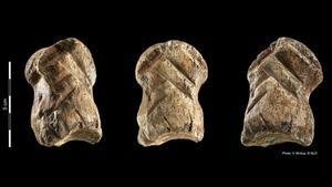 Hace alrededor de 51.000 años, los neandertales tallaron galones en dedos de ciervo.