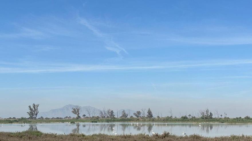 Agua, tierra y vida: los agricultores somos guardianes del medioambiente