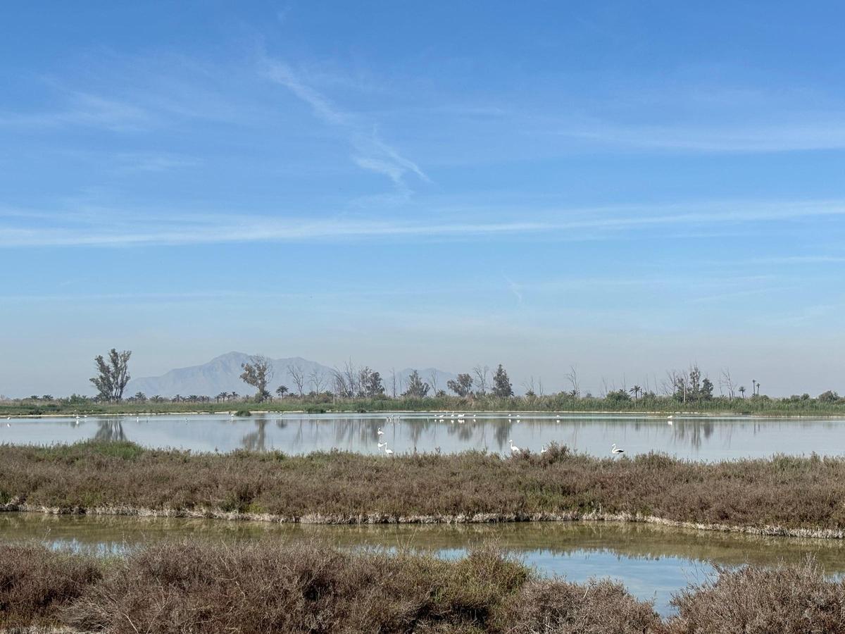Embalses de una finca privada en el Parque Natural de El Hondo de Crevillent y Elche