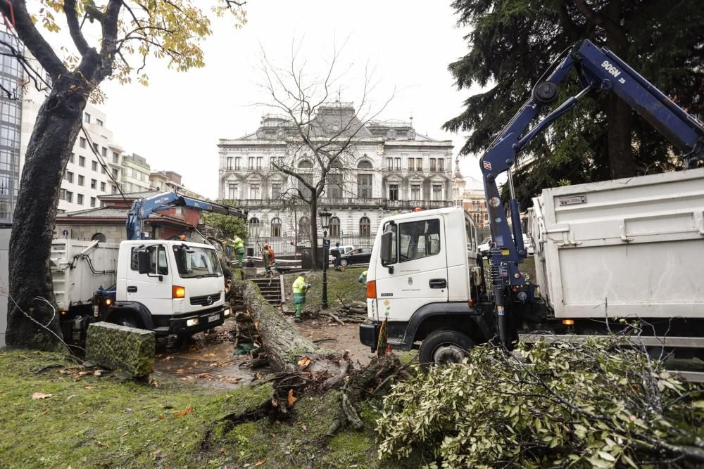 Destrozos en El Escorialín