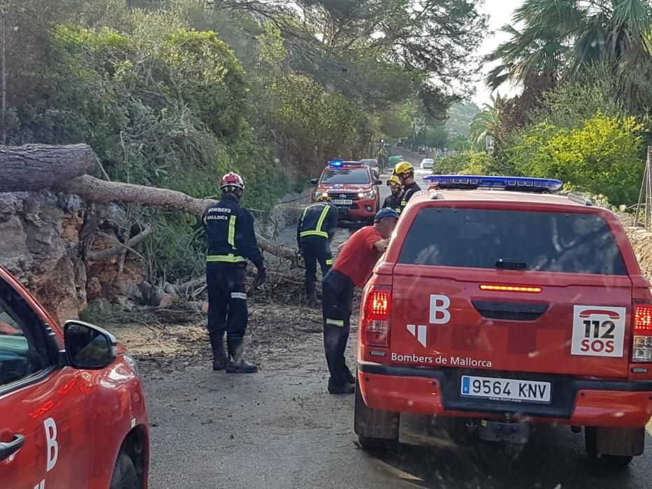 Trabajos en las zonas más afectadas por la tormenta en Baleares