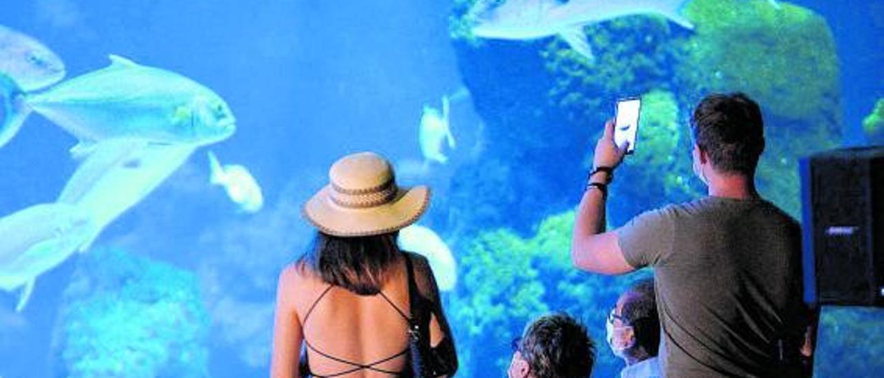 Turistas de visita en el acuario de la capital grancanaria.