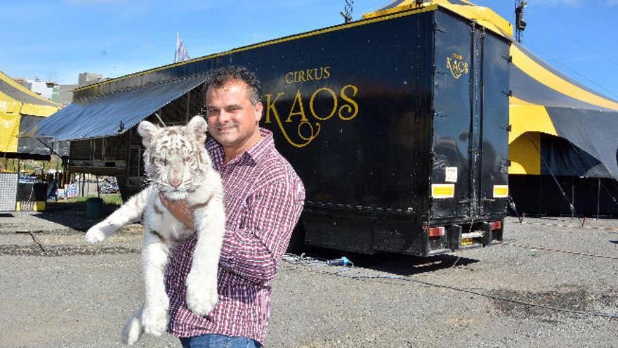 El nieto de Kike Polo, de dos años, duerme junto a la cría de tigre blanco que tienen en el circo.