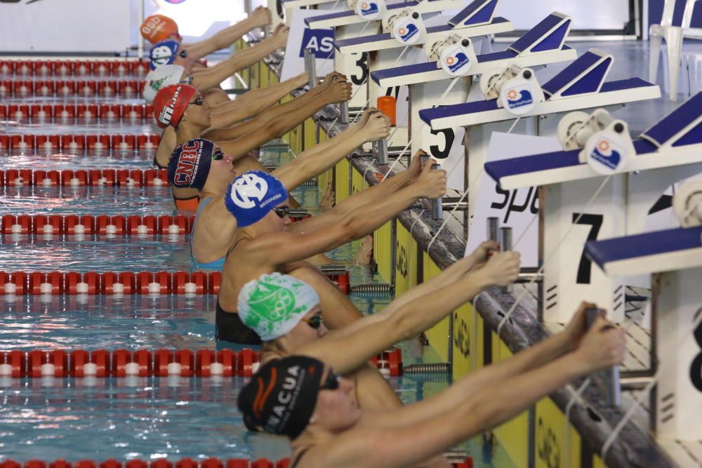 Campeonato de España de Natación.