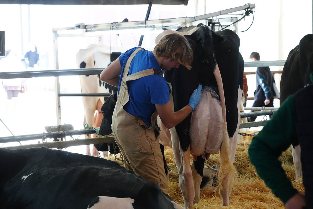 Abre la feria de vacuno de leche Usías Holsteins de  Dos Torres