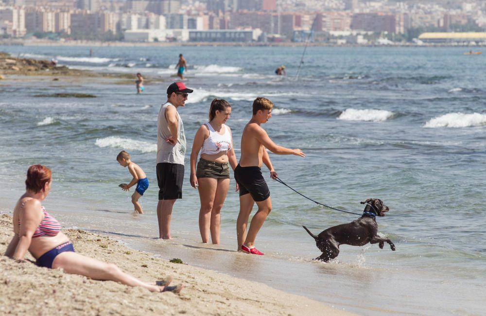 Playa de perros de Agua Amarga