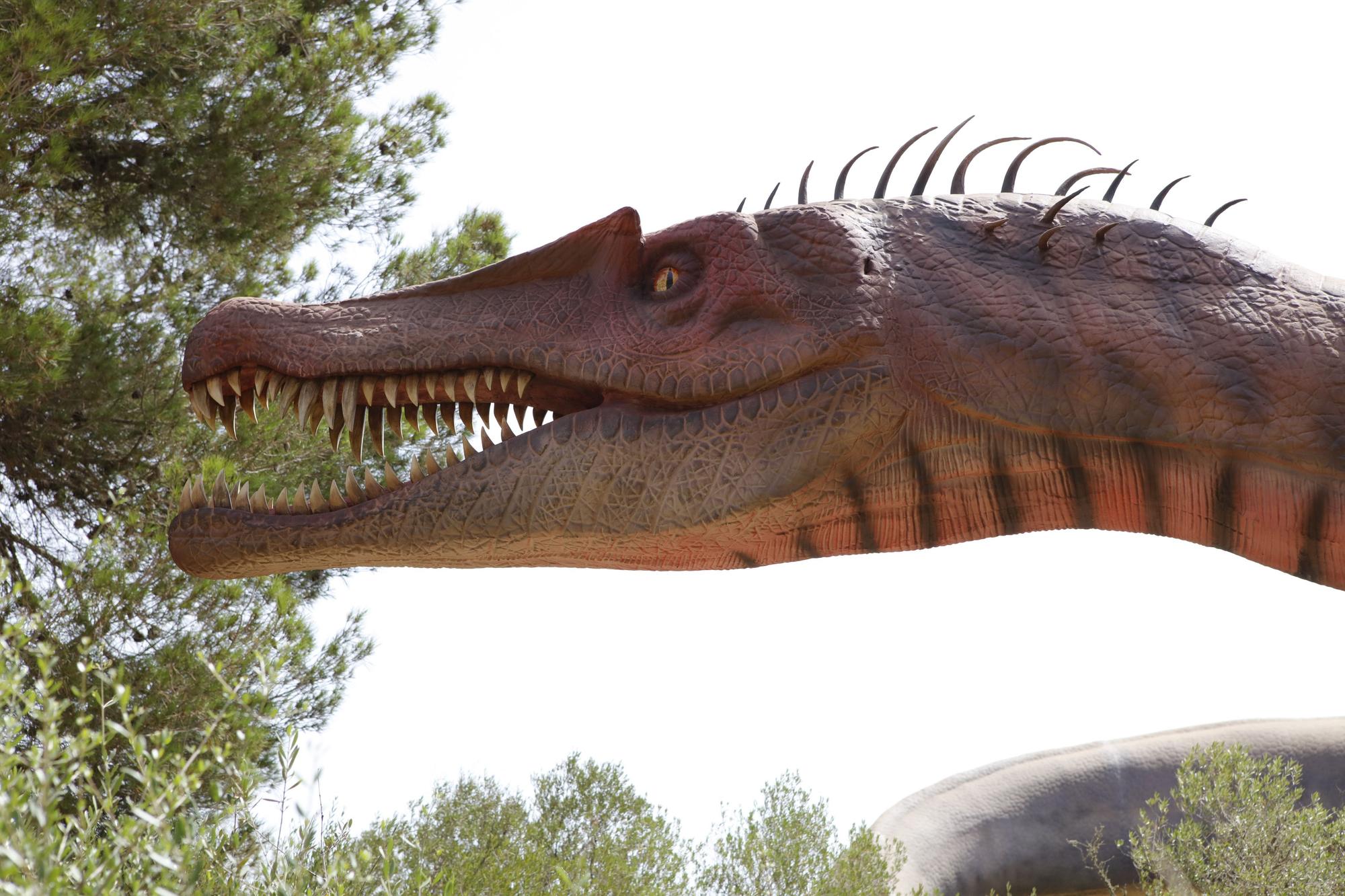 Besuch im neuen Dino-Park auf Mallorca