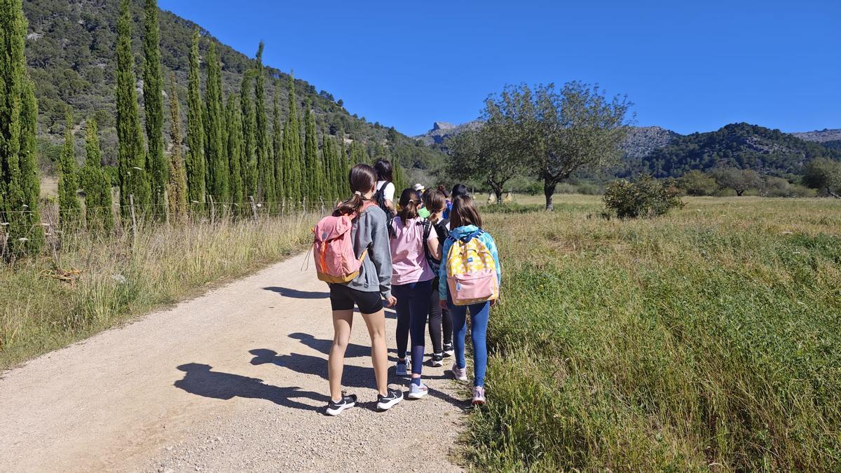 El alumnado ha podido conocer el entorno natural de la finca de Gabellí Petit.