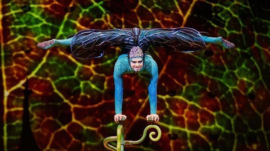 OVO, un emocionante espectáculo de Cirque du Soleil, llega a Galicia