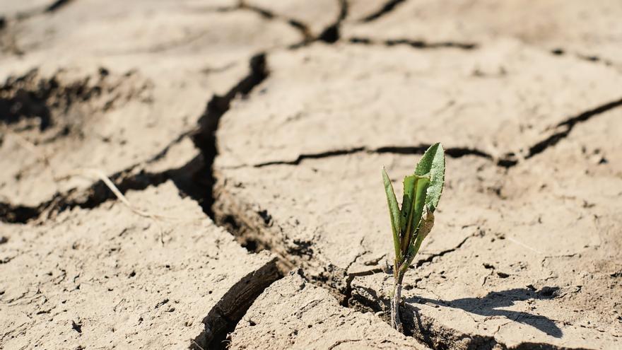 La CHD no soluciona, por ahora, los problemas de los regantes del sistema Pisuerga-Bajo Duero