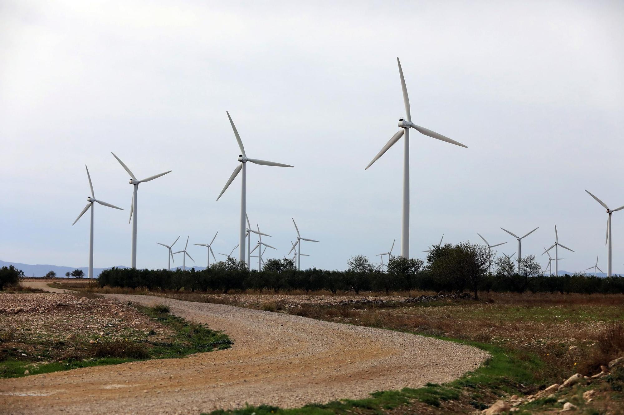 Adiós a los primeros molinos que revolucionaron La Muela