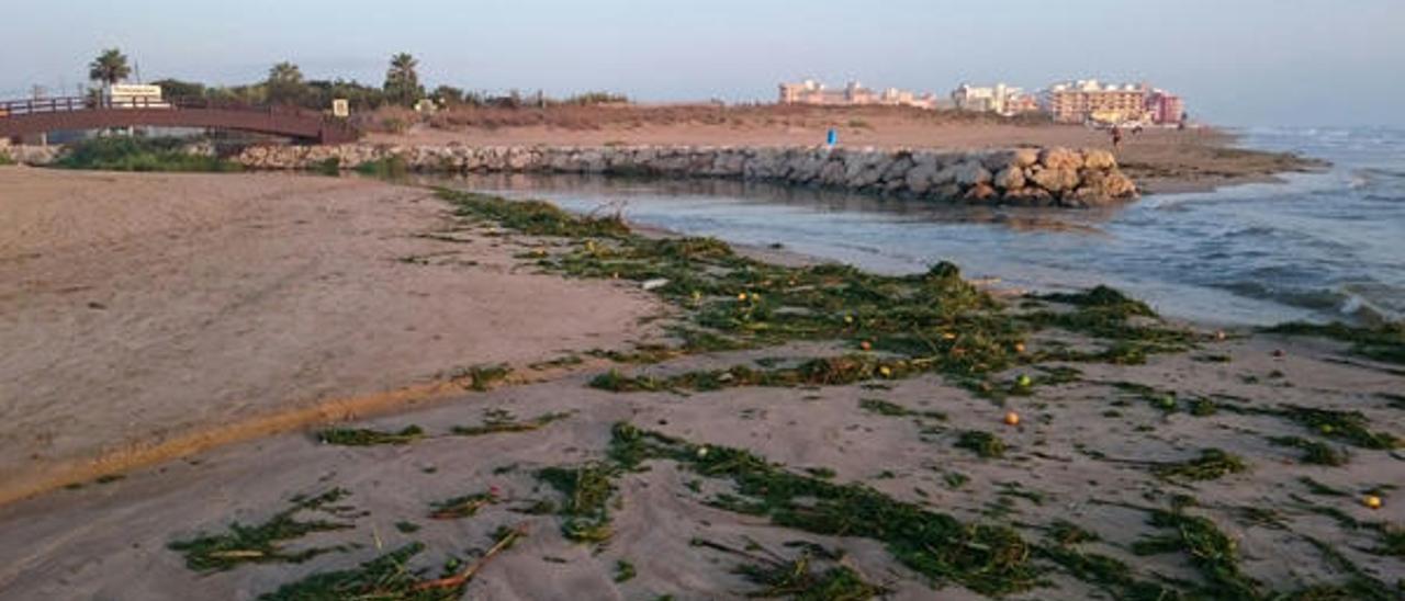 Un vertido incontrolado ensucia otra vez la playa del Mareny de Sueca