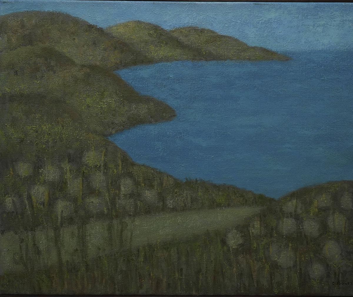 Les imatges de l’exposició dedicada a Concha Ibáñez al Museu d'Art