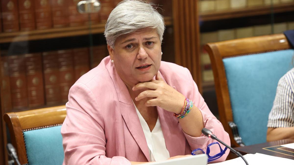 La Comisionada de Transparencia y Acceso a la Información Pública de Canarias, María Noelia García Leal.