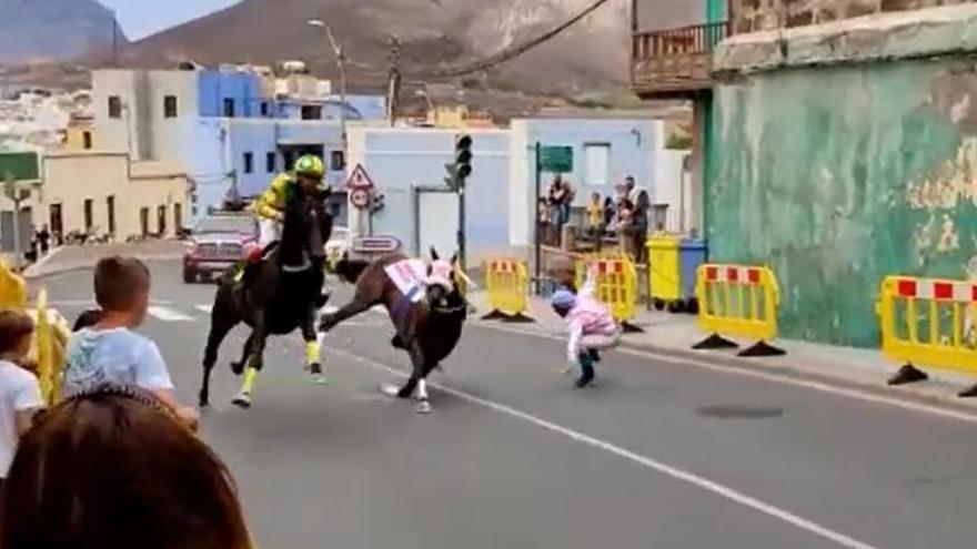 Accidentada carrera de caballos en la Bajada de Las Guayarminas de Gáldar