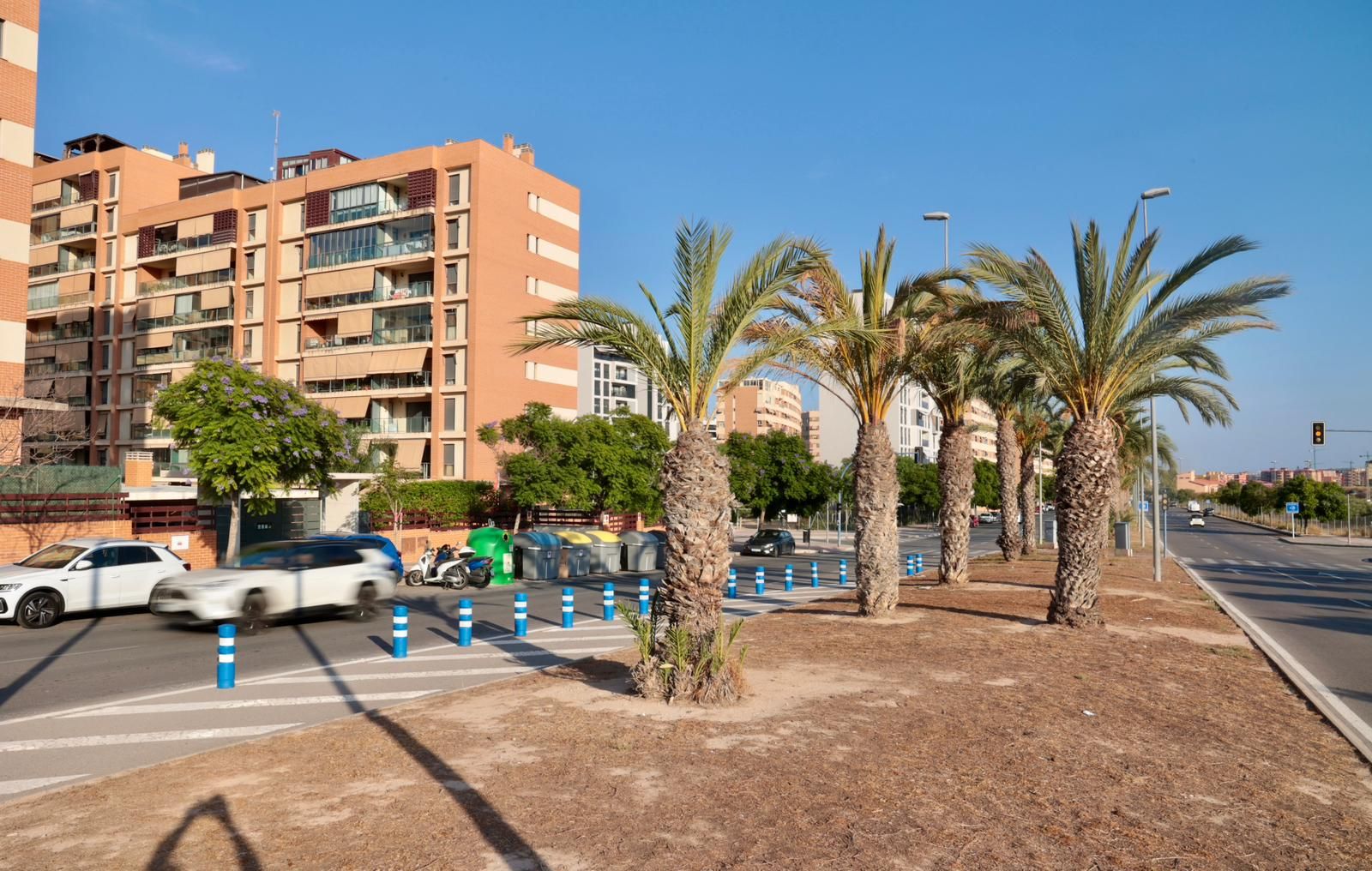 Así están las zonas verdes del PAU 1 en Alicante