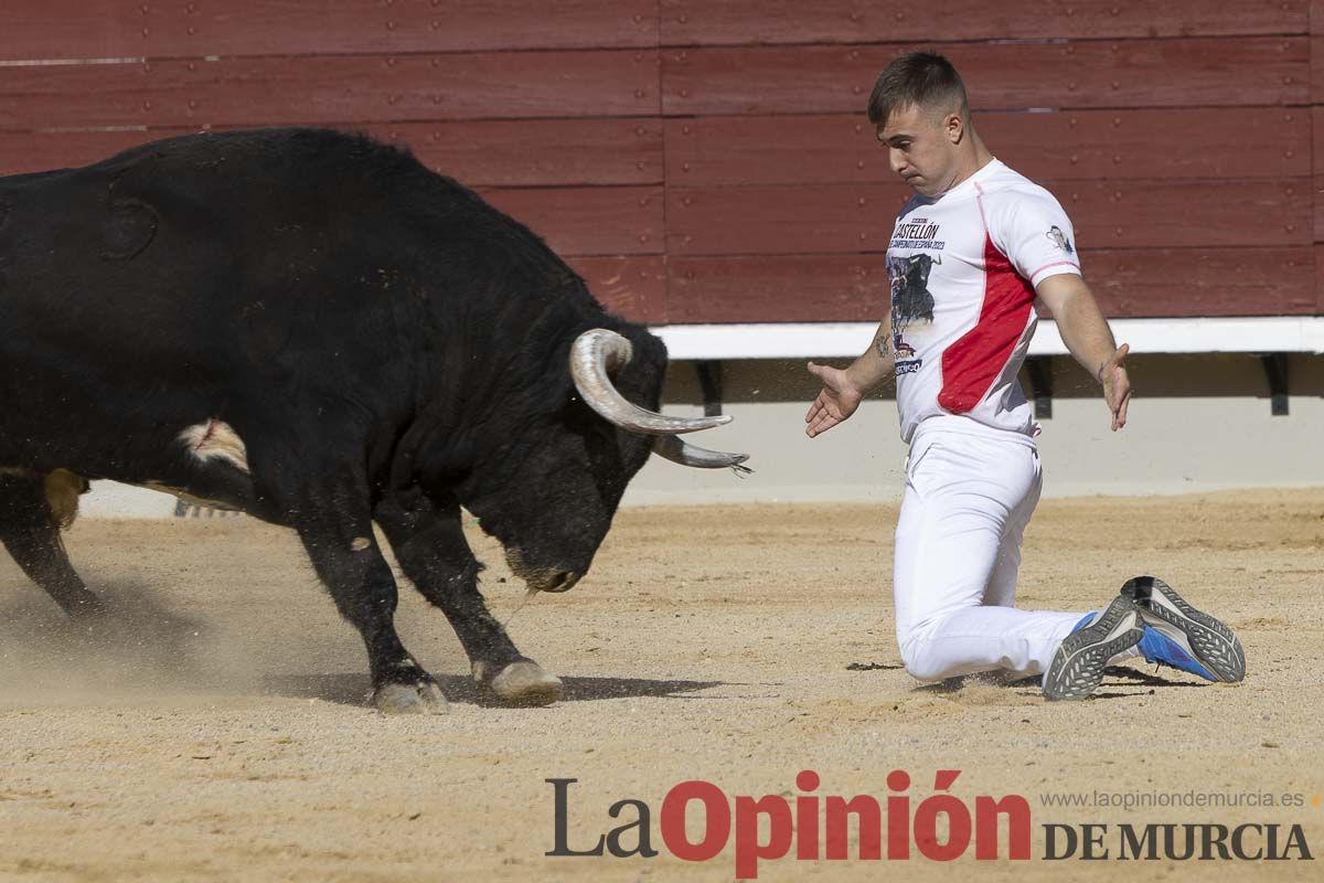 Final del campeonato de España de Recortadores celebrado en Castellón (primeras eliminatorias)