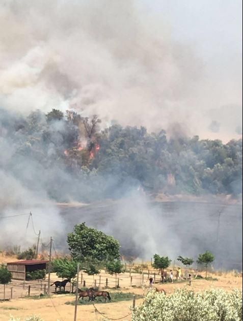 Incendi entre Cruïlles i Monells