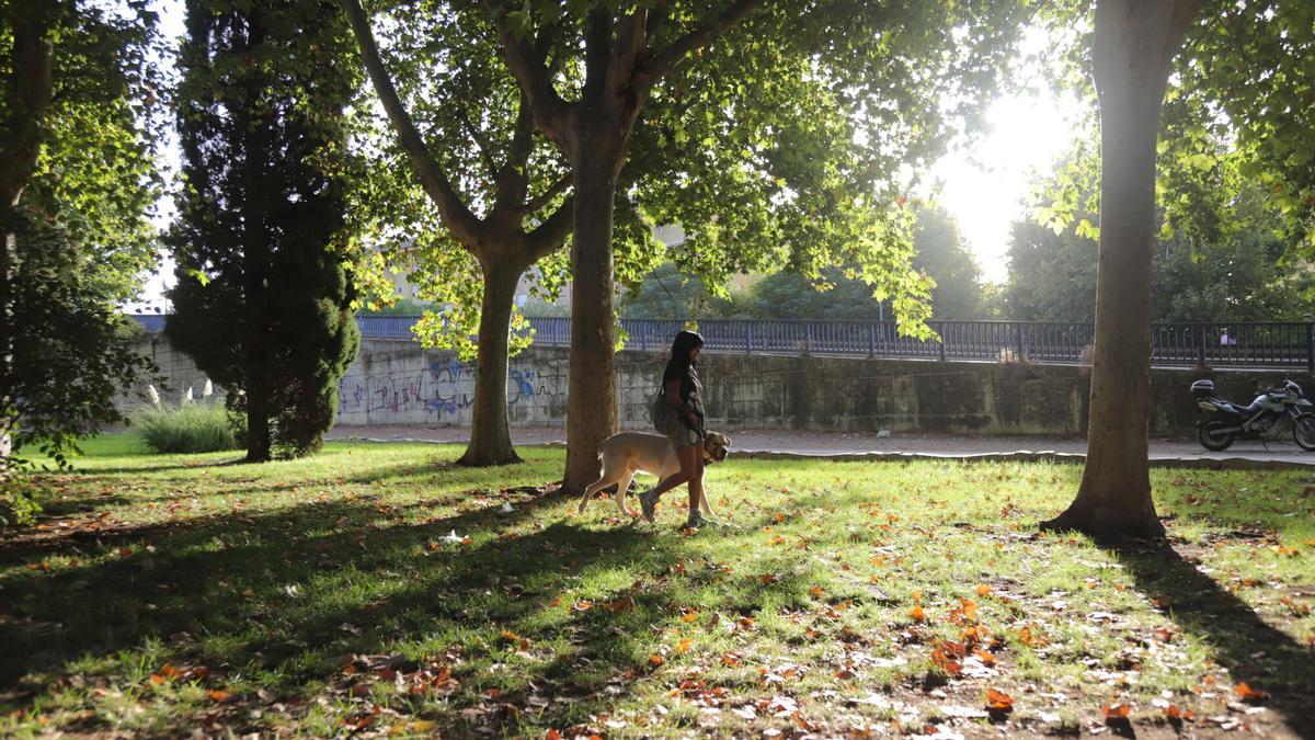 El otoño se resiste a llegar a Córdoba.