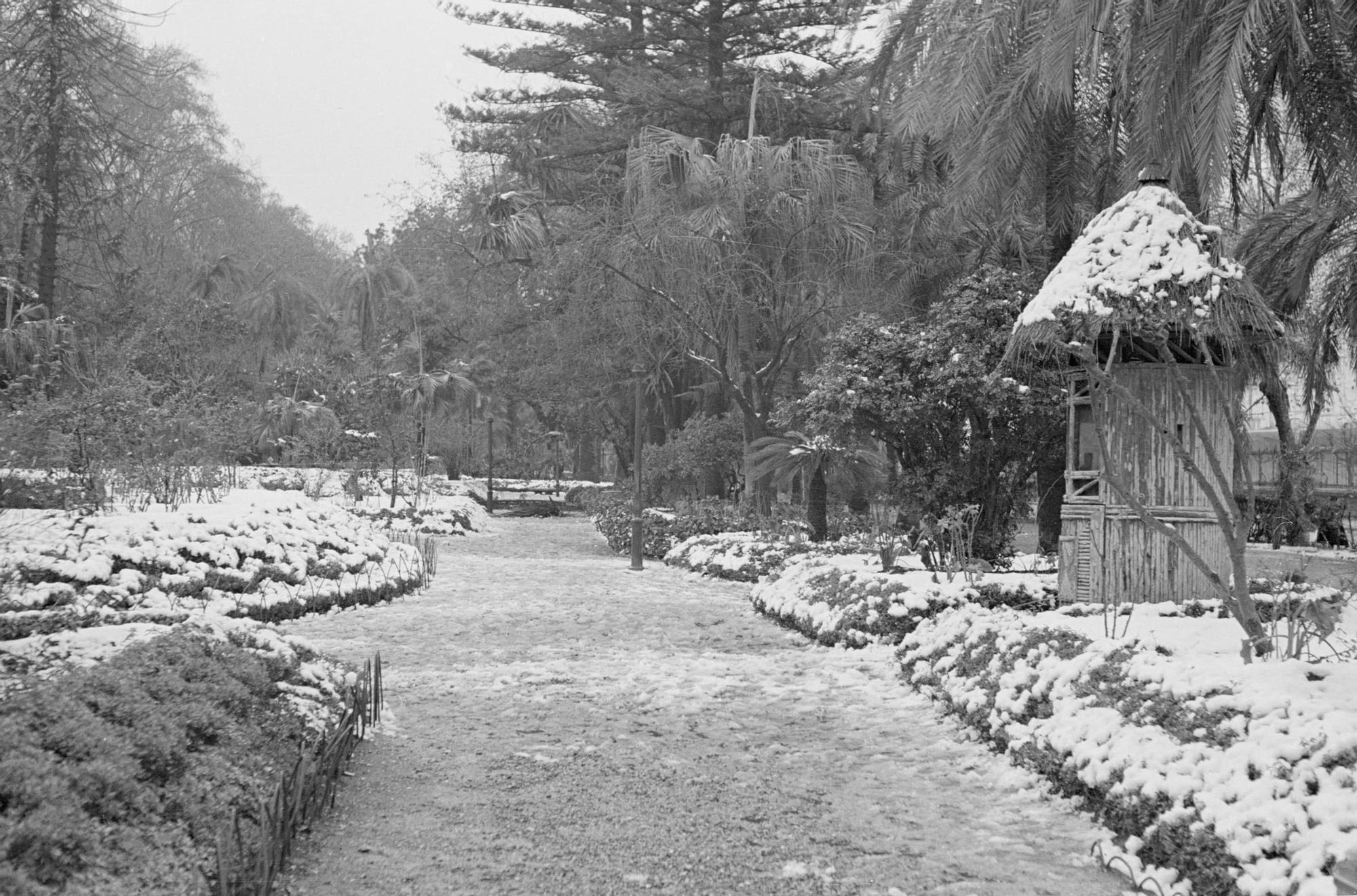 Nevada de Málaga en febrero de 1954