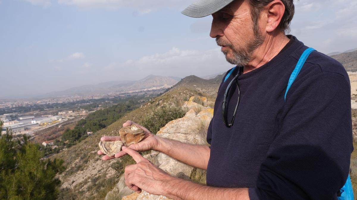 El maestro Antonio Enrique Obrador Gil mostrando las ostras fosilizadas en el monte Bateig de Elda.