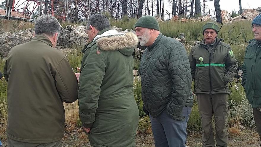 El chef José Andrés &quot;siembra&quot; la Sierra de la Culebra con 30.000 árboles