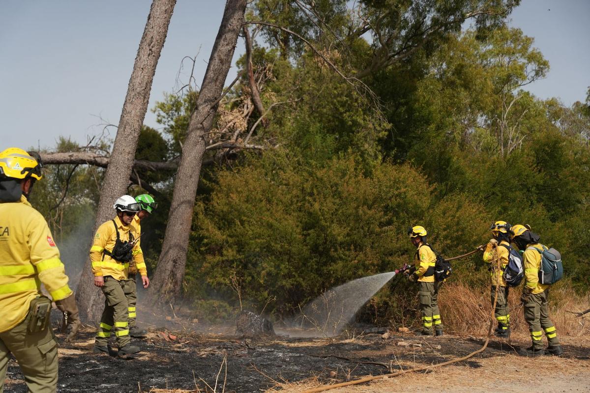 Imagen del incendio en la zona del Cerro del Carambolo en Camas (Sevilla).