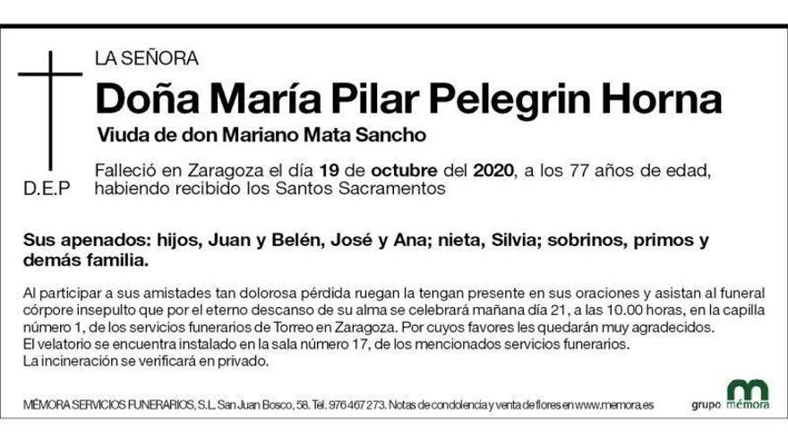 María Pilar Pelegrín Horna