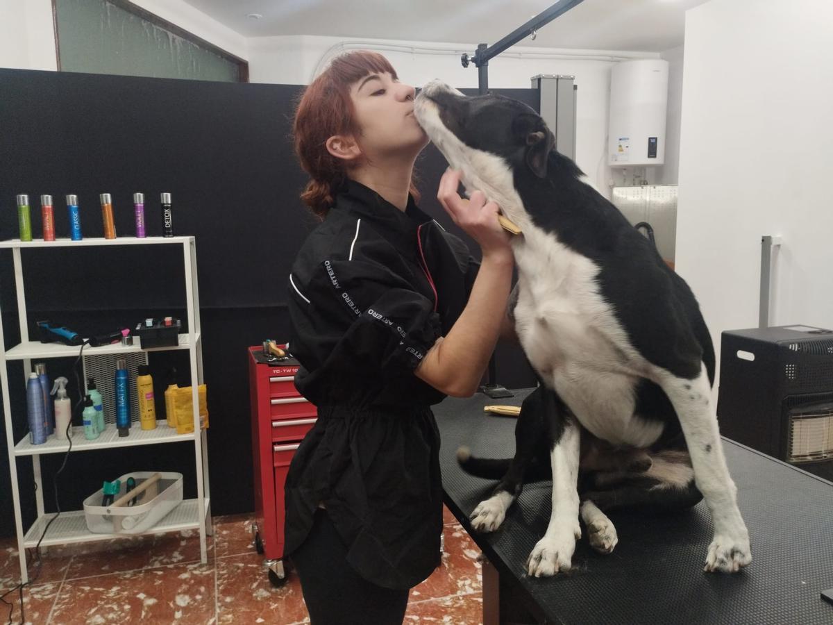 La nueva peluquería canina de Grado, en imágenes