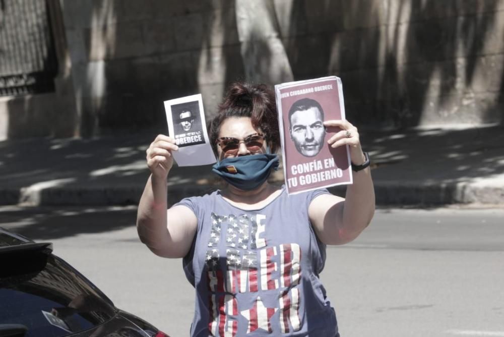 La protesta en coche de Vox colapsa el centro de Palma