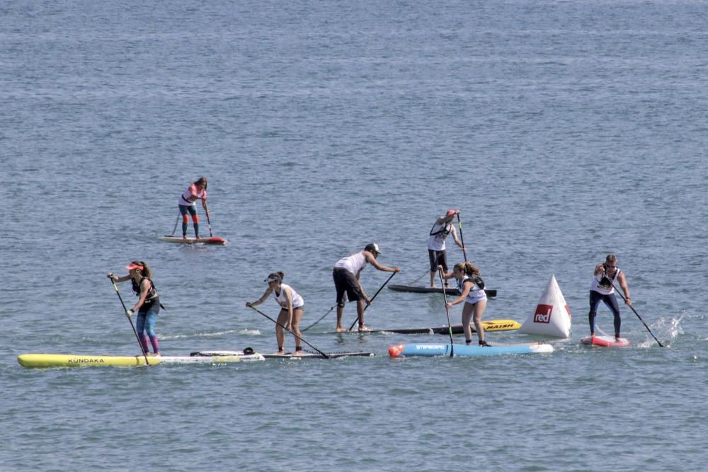 Campeonato de Paddle Surf en Torrevieja