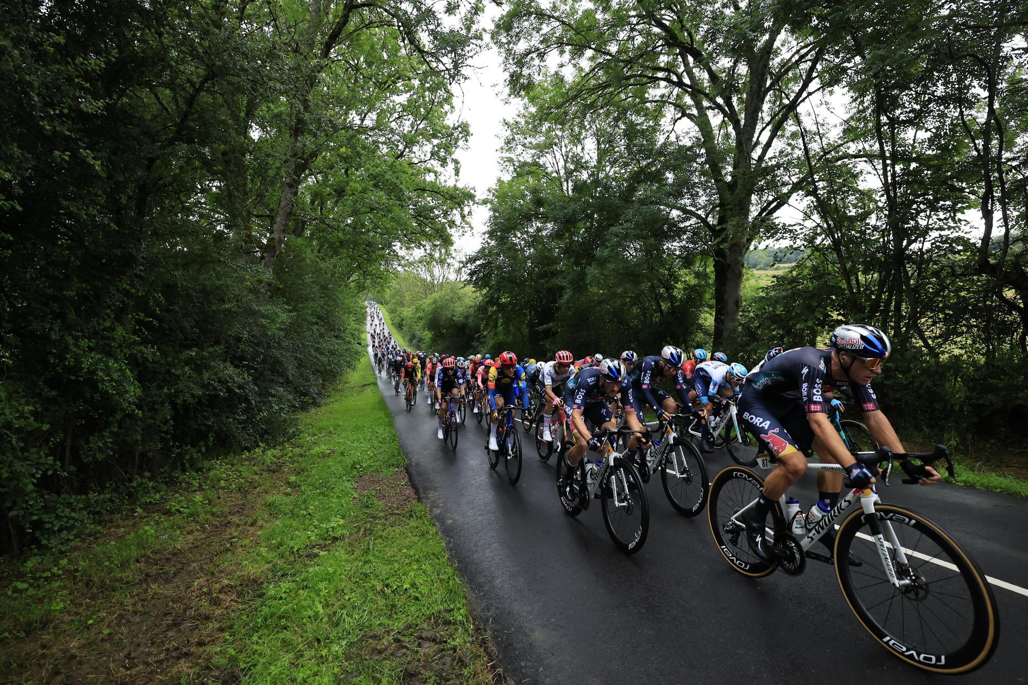 Tour de France 2024 - Stage 8