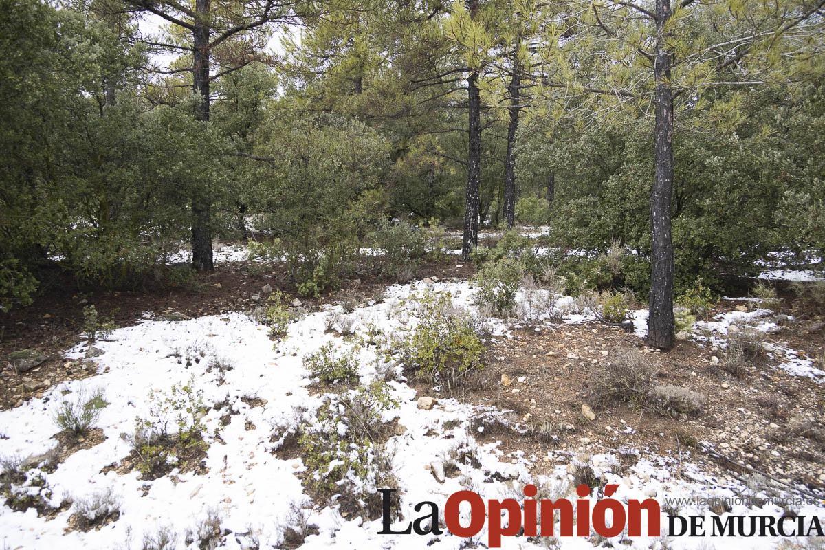 Nieve en las proximidades de Revolcadores en Moratalla