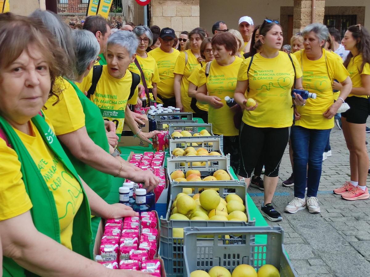 La XI Maroma Solidaria de la AECC de Benavente, en imágenes