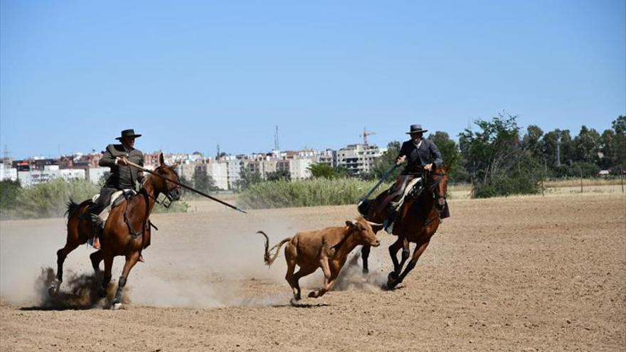 Moura y Díaz Béjar ganan el Concurso de Acoso y Derribo