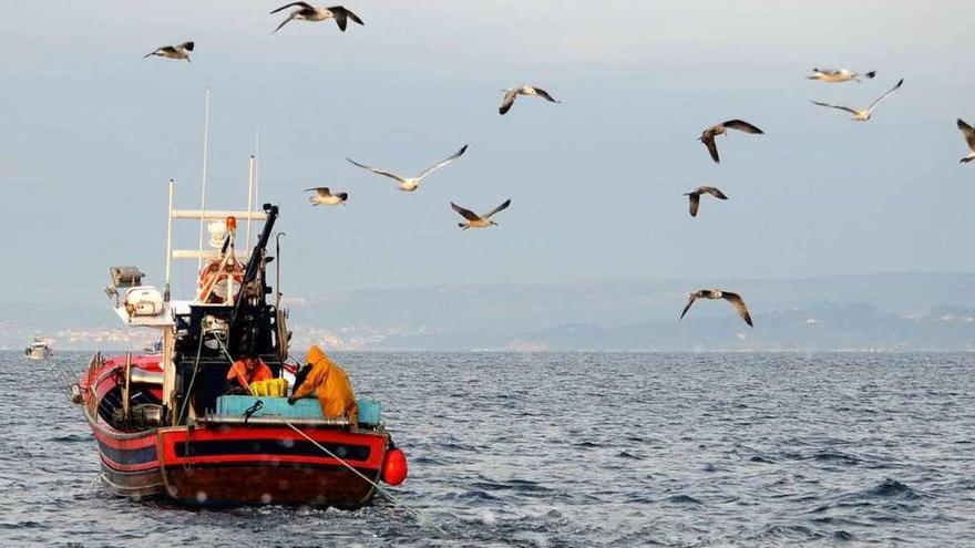 Un barco de bajura gallego en una jornada de faena.