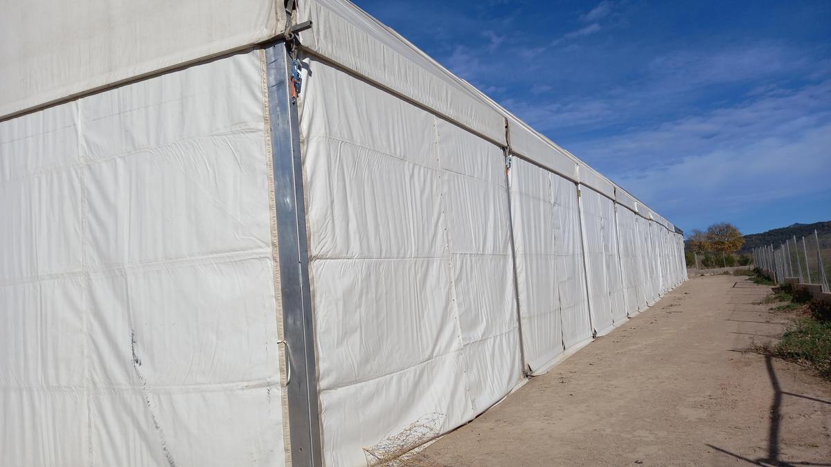 La carpa instalada en el verbenódromo de Segorbe.