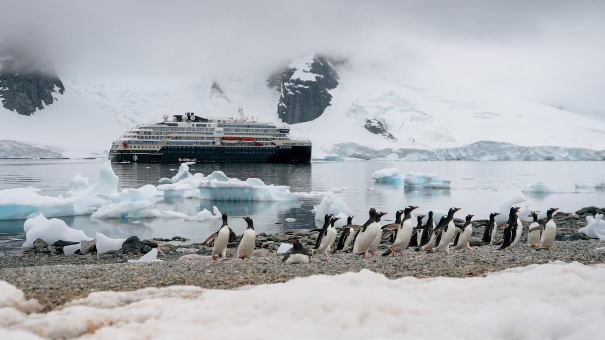 Pingüinos en Danco Island
