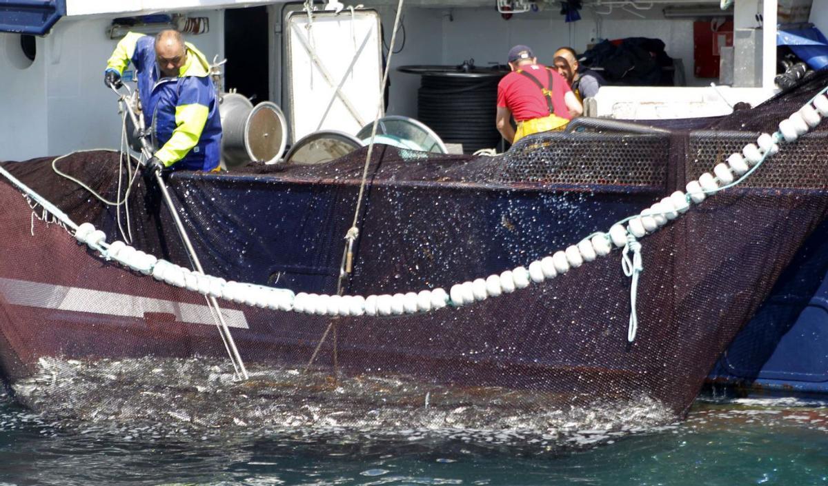 Un barco del cerco
pescando sardina.
| Noé Parga