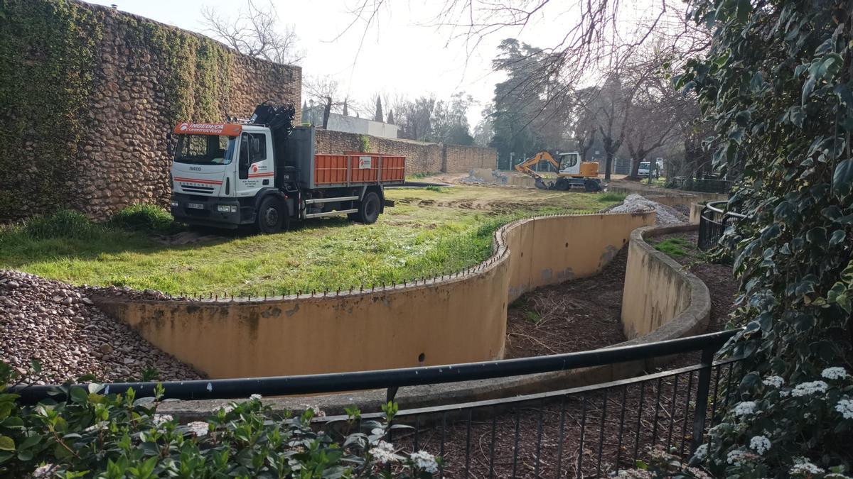 Obras de adaptación del recinto del zoo que ocupaba la elefanta Flavia.