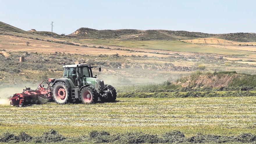 El granero aragonés de forrajes y alfalfa que alimenta a los camellos de Oriente Medio