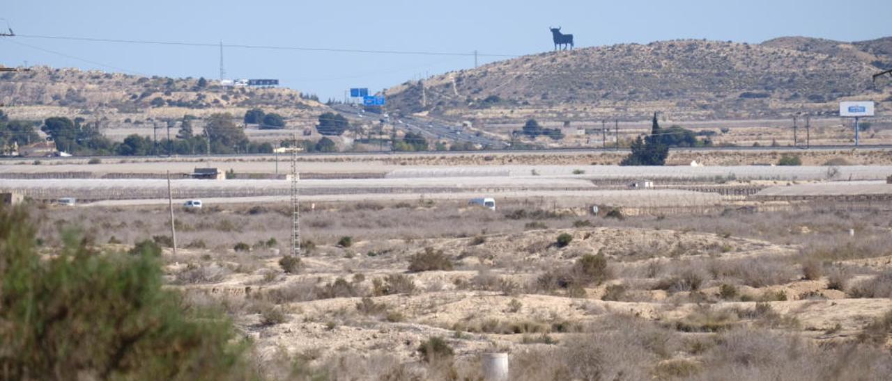 Los terrenos pegados a la autovía de Madrid donde estaba proyectado realizar la zona industrial de Walaig.