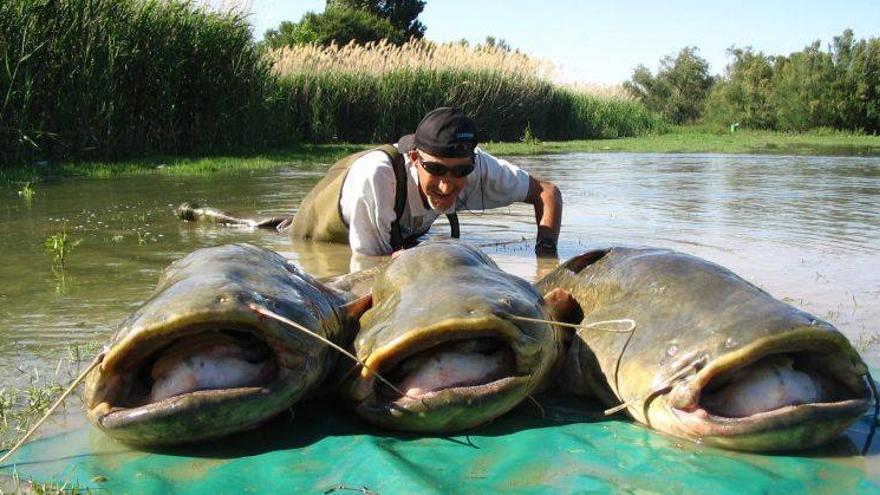 El ministerio pone en jaque a la pesca por las especies invasoras