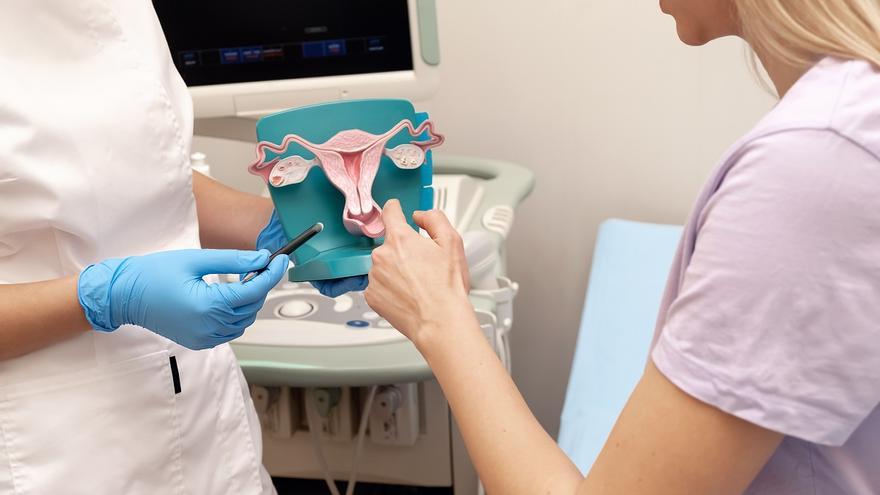¿Qué es una malformación uterina?: Síntomas, riesgos y tratamientos