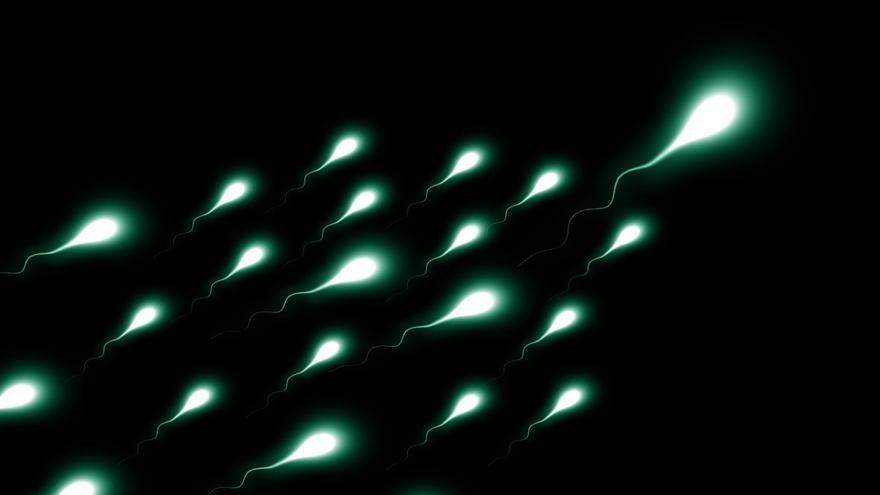 La calidad y la cantidad del semen influye en la longevidad de los hombres