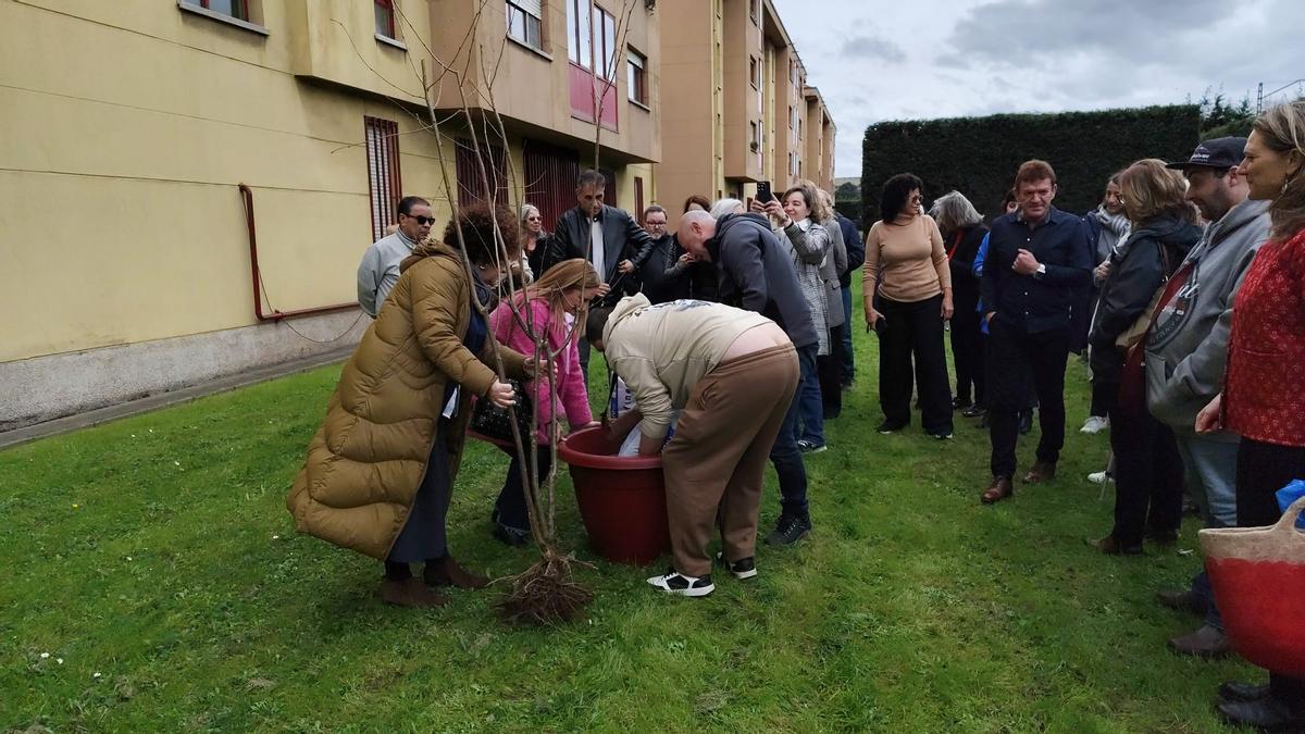 El nuevo huerto urbano de la zona oeste de Gijón, en imágenes